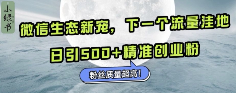微信生态新宠小绿书：下一个流量洼地，日引500+精准创业粉，粉丝质量超高-一新网创