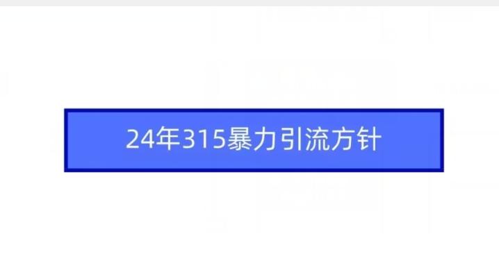 24年315暴力引流方针-一新网创