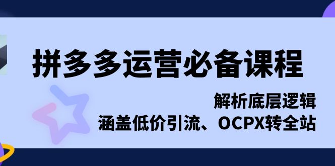 拼多多运营必备课程，解析底层逻辑，涵盖低价引流、OCPX转全站-一新网创