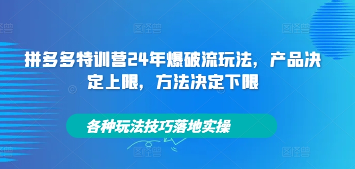 拼多多特训营24年爆破流玩法，产品决定上限，方法决定下限，各种玩法技巧落地实操-一新网创