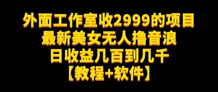 外面工作室收2999的项目最新美女无人撸音浪日收益几百到几千【教程+软件】（仅揭秘）-一新网创