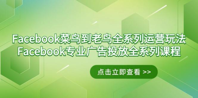 Facebook-菜鸟到老鸟全系列运营玩法+Facebook-专业广告投放全系列课程-一新网创