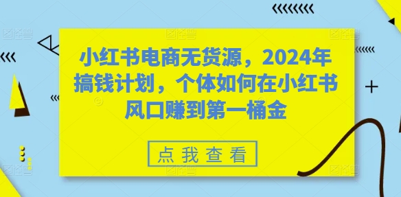 小红书电商无货源，2024年搞钱计划，个体如何在小红书风口赚到第一桶金-一新网创