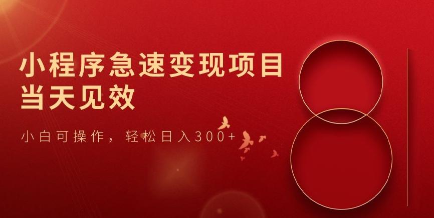 小程序急速变现项目，当天见效，小白可操作，轻松日入300+-一新网创