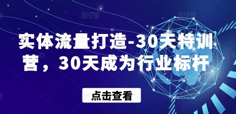 实体流量打造-30天特训营，30天成为行业标杆-一新网创
