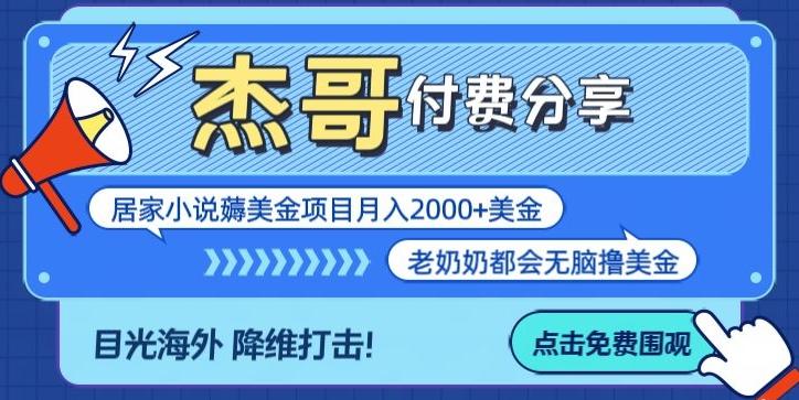 拆解海外撸美金项目月入2000美刀详细指导-一新网创