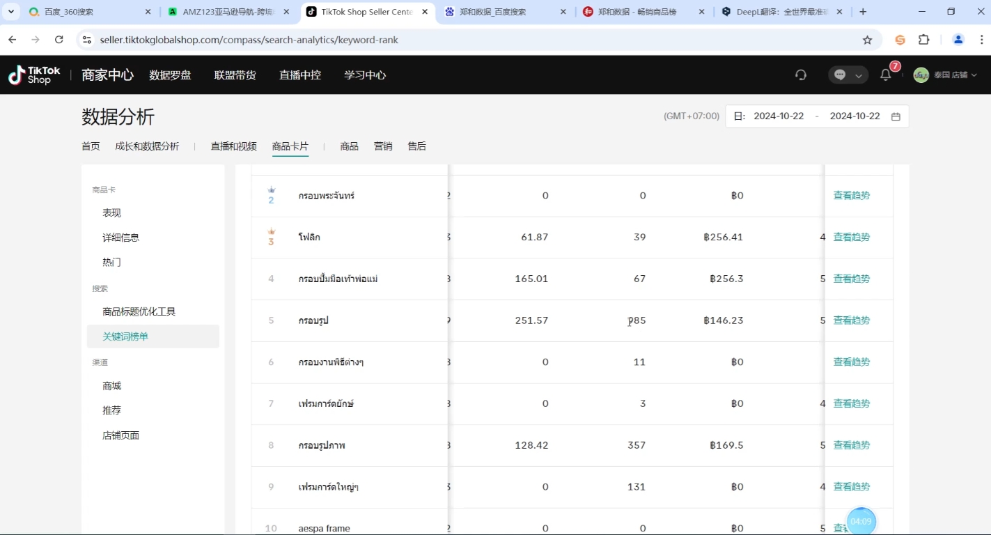 大鱼老师·Tiktok东南亚小店运营-一新网创