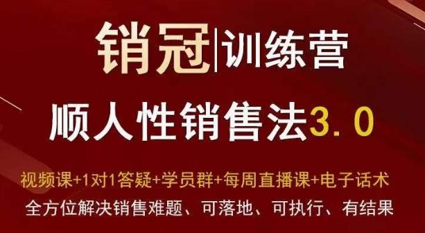 爆款！销冠训练营3.0之顺人性销售法，全方位解决销售难题、可落地、可执行、有结果-一新网创