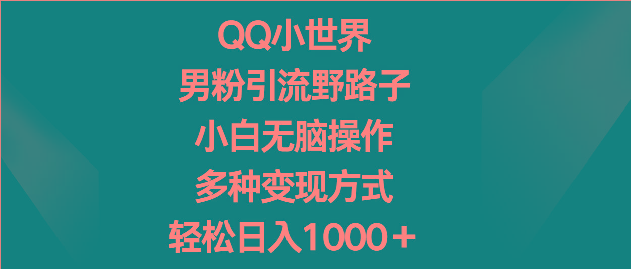 QQ小世界男粉引流野路子，小白无脑操作，多种变现方式轻松日入1000＋-一新网创