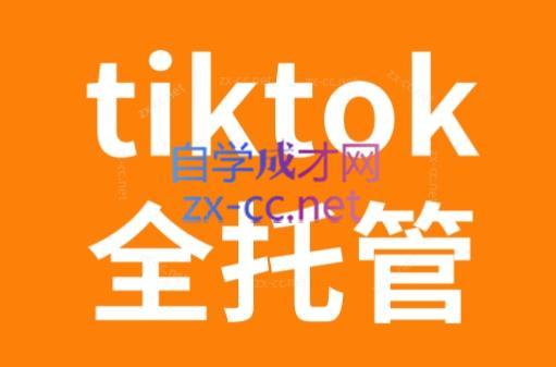 TikTok跨境电商全托管运营模式精品课-一新网创