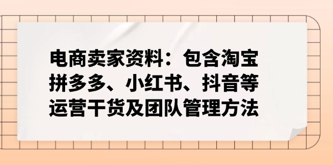 电商卖家资料：包含淘宝、拼多多、小红书、抖音等运营干货及团队管理方法-一新网创