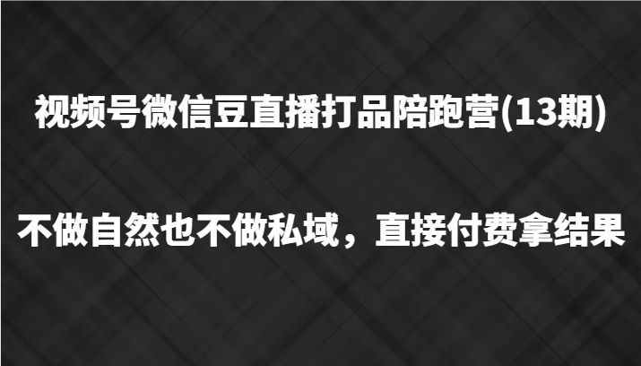 视频号微信豆直播打品陪跑(13期)，不做不自然流不做私域，直接付费拿结果-一新网创