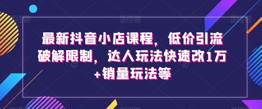 最新抖音小店课程，低价引流破解限制，达人玩法快速改1万+销量玩法等-一新网创