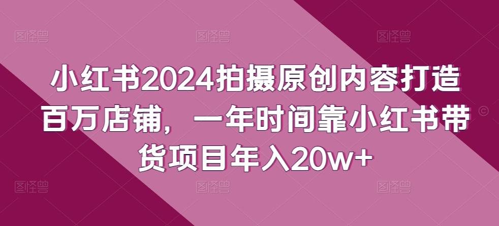 小红书2024拍摄原创内容打造百万店铺，一年时间靠小红书带货项目年入20w+-一新网创