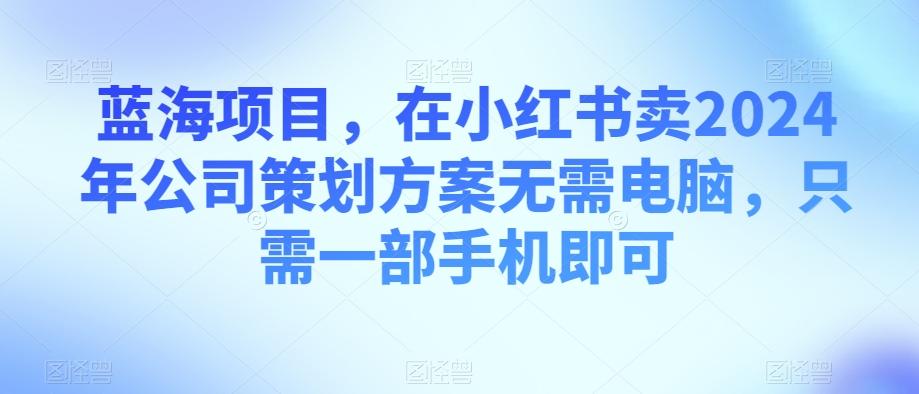 蓝海项目，在小红书卖2024年公司策划方案无需电脑，只需一部手机即可-一新网创