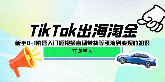 (10035期)TikTok-出海淘金，新手0-1快速入门短视频直播带货等引流到变现的知识-一新网创