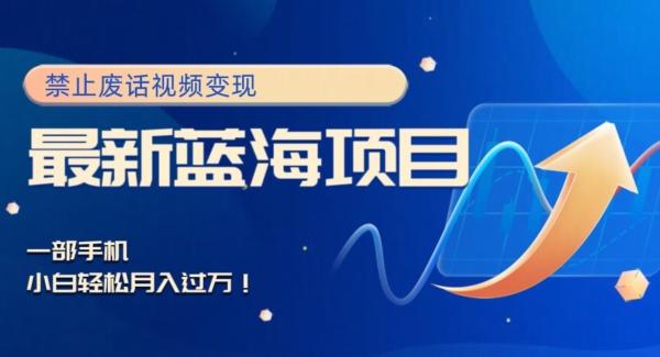 最新蓝海项目，靠禁止废话视频变现，一部手机，小白轻松月入过万！-一新网创
