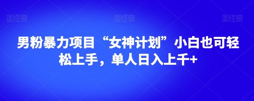 男粉暴力项目“女神计划”小白也可轻松上手，单人日入上千+【揭秘】-一新网创