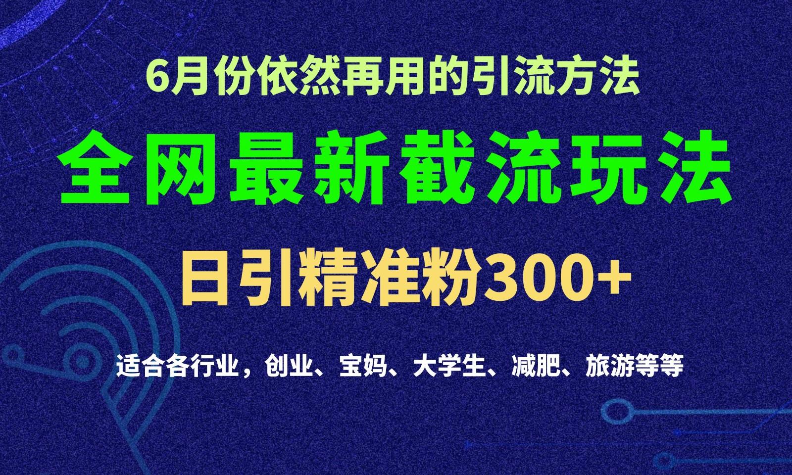 2024全网最新截留玩法，每日引流突破300+-一新网创