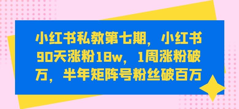 小红书私教第七期，小红书90天涨粉18w，1周涨粉破万，半年矩阵号粉丝破百万-一新网创