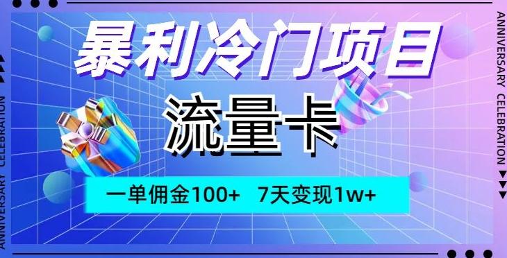 暴利冷门项目，流量卡，一单佣金100+，7天变现1w+-一新网创