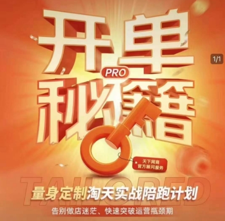 淘宝开单秘籍PRO，量身定制淘天实战陪跑计划，告别做店迷茫、快速突破运营瓶颈期-一新网创
