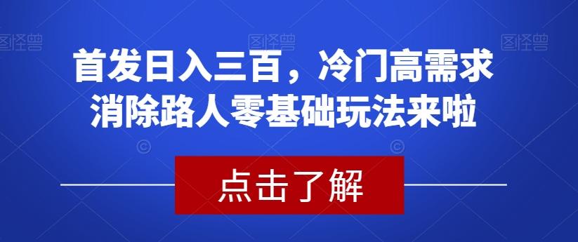首发日入三百，冷门高需求消除路人零基础玩法来啦【揭秘】-一新网创