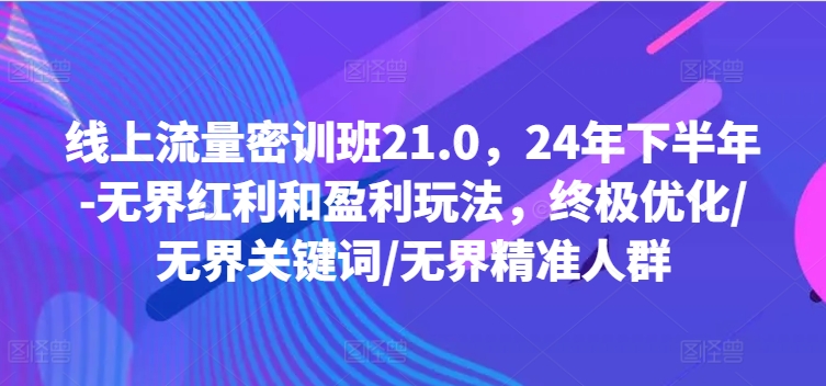 线上流量密训班21.0，24年下半年-无界红利和盈利玩法，终极优化/无界关键词/无界精准人群-一新网创