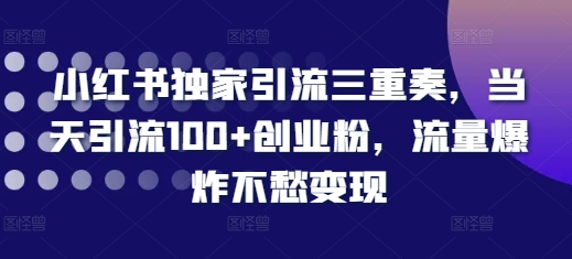 小红书独家引流三重奏，当天引流100+创业粉，流量爆炸不愁变现【揭秘】-一新网创