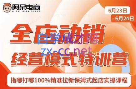 阿呆电商·全店动销经营模式特训营(线下录音+思维导图)-一新网创