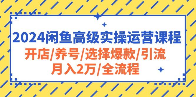 2024闲鱼高级实操运营课程：开店/养号/选择爆款/引流/月入2万/全流程-一新网创