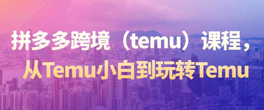 拼多多跨境（temu）课程，从Temu小白到玩转Temu-一新网创