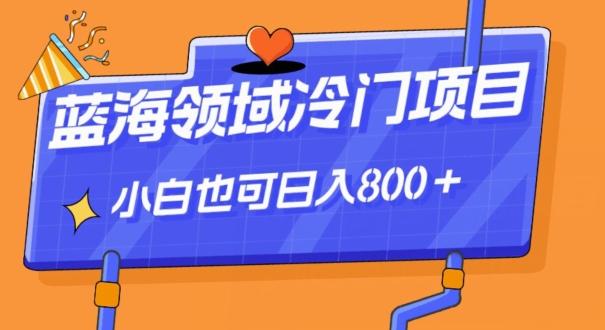 蓝海领域冷门赛道，一单39.9，日入800＋-一新网创