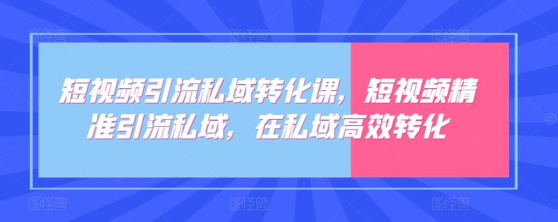 短视频引流私域转化课，短视频精准引流私域，在私域高效转化-一新网创