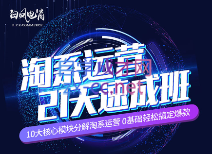 淘系运营21天速成班(更新7月)-一新网创