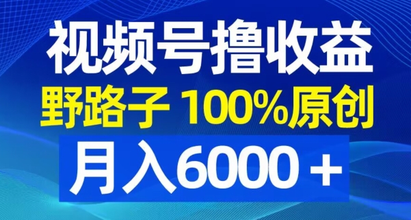 视频号野路子撸收益，100%原创，条条爆款，月入6000＋【揭秘】-一新网创