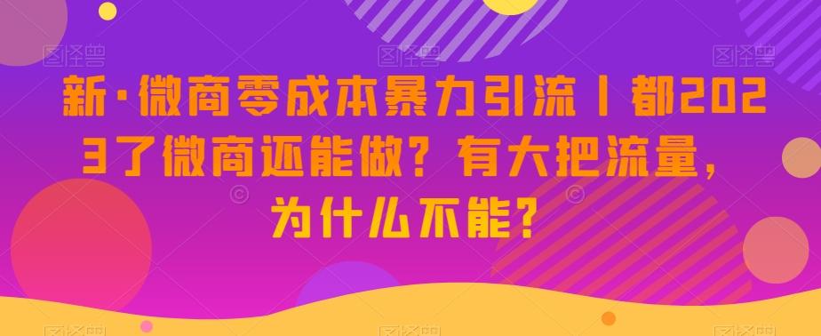 新·微商零成本暴力引流丨都2023了微商还能做？有大把流量，为什么不能？-一新网创