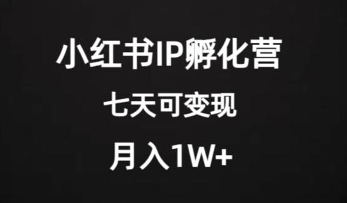 价值2000+的小红书IP孵化营项目，超级大蓝海，七天即可开始变现，稳定月入1W+-一新网创