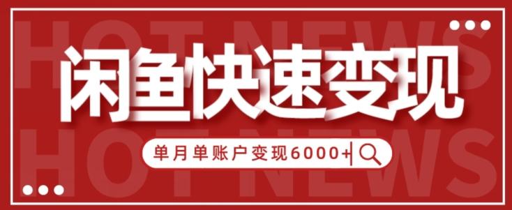 【新手项目】小白快速在闲鱼单月单账号变现6000+的秘密-一新网创