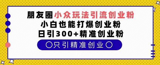 朋友圈小众玩法引流创业粉，小白也能打爆创业粉，日引300+精准创业粉【揭秘】-一新网创