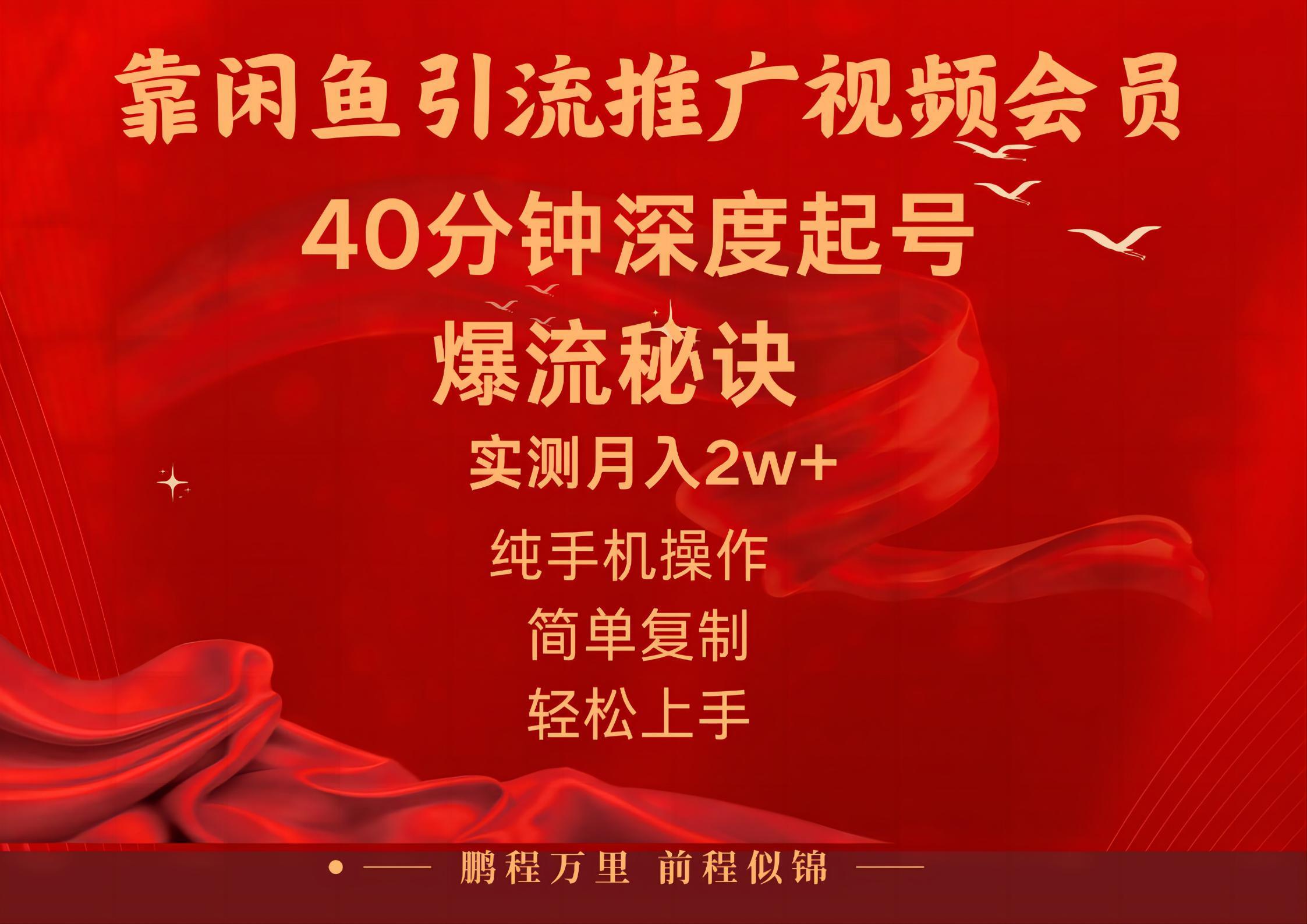 闲鱼暴力引流推广视频会员，能做到日入2W+，操作简单-一新网创