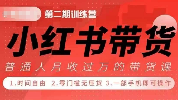 小Red书带货42天训练营 2.0版，宝妈+自由职+上班族+大学生，提高副业收入的大红利项目-一新网创