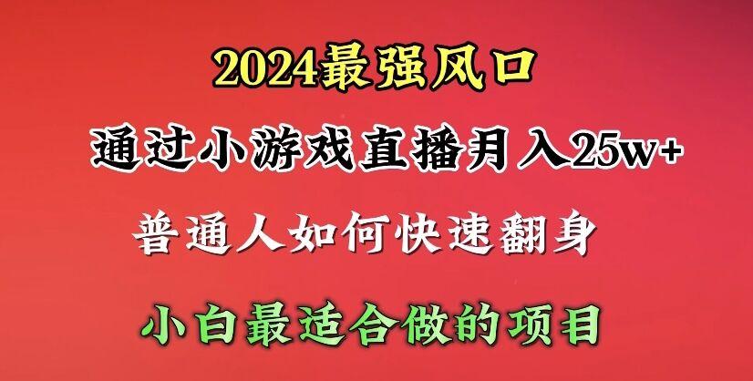(10020期)2024年最强风口，通过小游戏直播月入25w+单日收益5000+小白最适合做的项目-一新网创