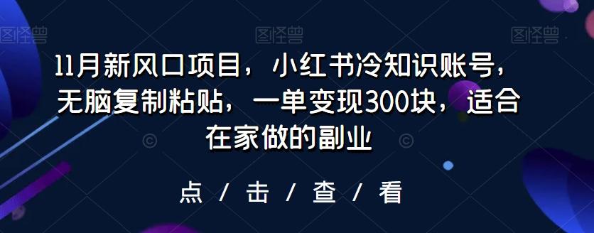 11月新风口项目，小红书冷知识账号，无脑复制粘贴，一单变现300块，适合在家做的副业-一新网创