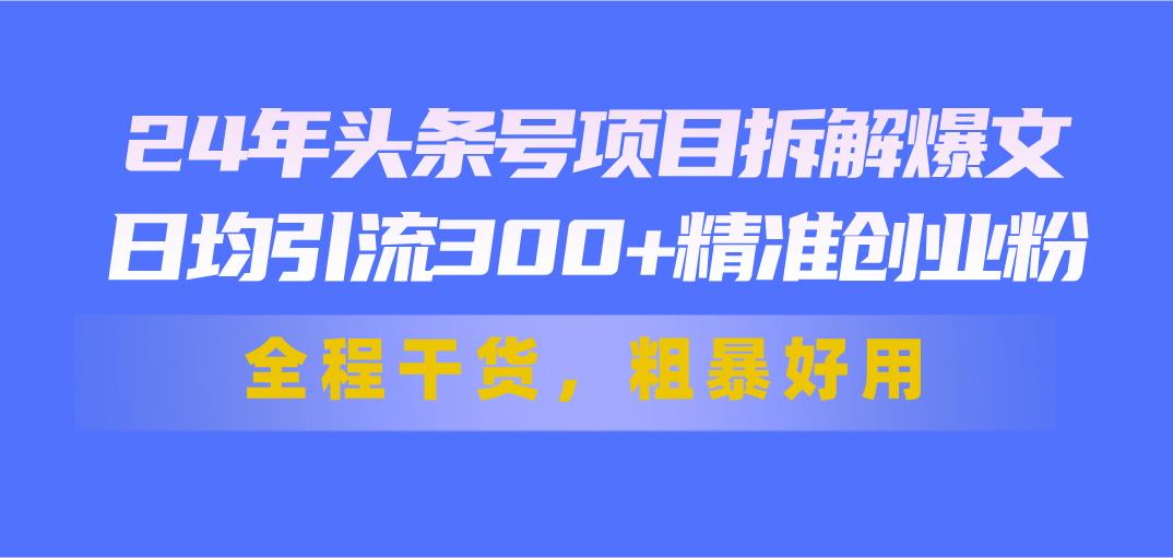 24年头条号项目拆解爆文，日均引流300+精准创业粉，全程干货，粗暴好用-一新网创