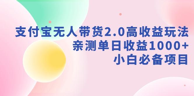 支付宝无人带货2.0高收益玩法，亲测单日收益1000+，小白必备项目-一新网创