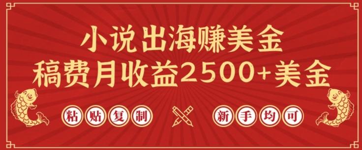 小说出海赚美金，稿费月收益2500+美金，仅需chatgpt粘贴复制，新手也能玩转【揭秘】-一新网创