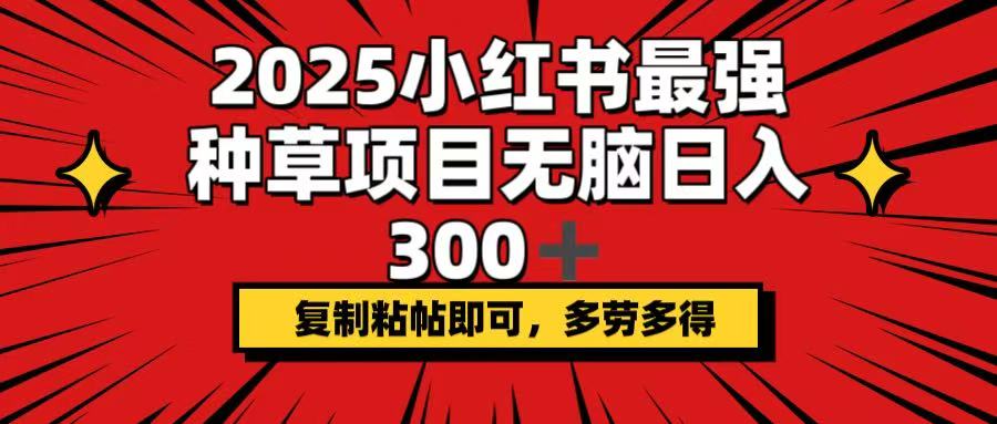 2025小红书最强种草项目，无脑日入300+，复制粘帖即可，多劳多得-一新网创