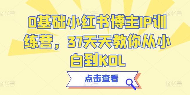 0基础小红书博主IP训练营，37天天教你从小白到KOL-一新网创