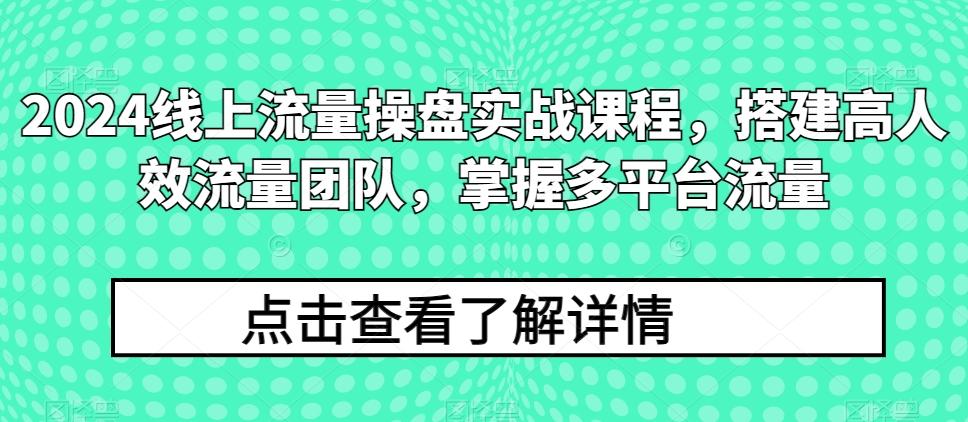 2024线上流量操盘实战课程，搭建高人效流量团队，掌握多平台流量-一新网创